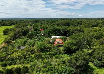 Agrofloresta em Santo Antônio de Leverger avança para conquistar selo e fortalecer produção de ovos caipira
