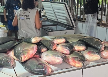 Operação conjunta apreende aproximadamente meia tonelada de pescado irregular em feira da Capital