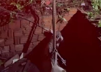 Cavalo que cai em poço de residência em Várzea Grande e precisa ser resgata por bombeiros