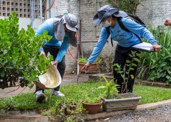 Prefeitura faz grande mutirão contra a dengue em Cuiabá nesta terça-feira
