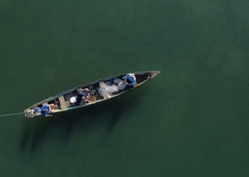 Ministério da Pesca cancela mais de 76 mil licenças de pescadores