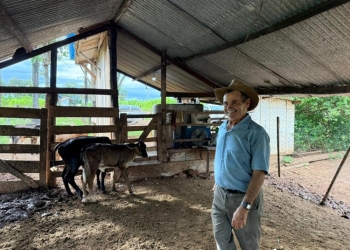 “Temos a chance de melhorar a genética do nosso gado leiteiro”, afirma produtor de Chapada dos Guimarães