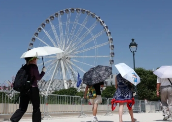 Europa: temperatura alta pode elevar transmissão do vírus Chikungunya