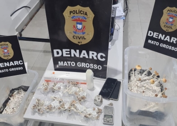 Operação Hidra cumpre 20 ordens judiciais contra grupo ligado ao tráfico interestadual