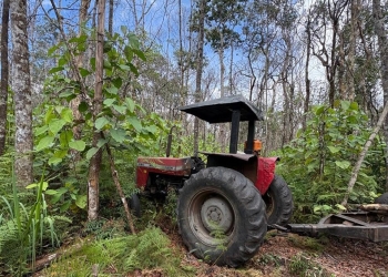 Operação conjunta apreende madeira e inutiliza maquinários usados em crime ambiental