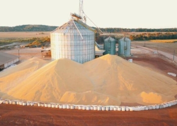Escassez de armazenagem força venda na colheita e derruba renda rural