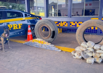 PRF apreende 65 kg de drogas em caminhão na BR-364 em MT