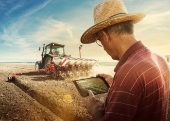Serasa: pedidos de recuperação judicial no agro bateram recorde em 2025