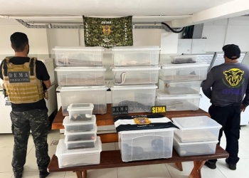 Polícia Civil deflagra operação contra manutenção irregular de animais silvestres e exóticos