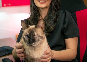 Novo livro mostra como a mídia influencia a forma como humanos tratam os animais