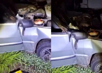 Vídeo registra batida frontal entre Uno e caminhão que matou motorista; veja vídeo