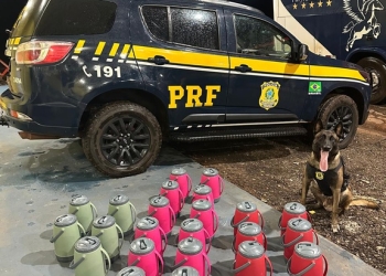 PRF apreende mais de 10 kg de drogas escondidas em garrafas térmicas