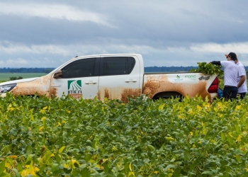 Mato Grosso deve colher safra recorde de 51,4 milhões de toneladas de soja