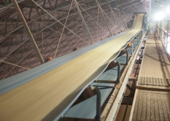 Esmagamento recorde de soja sinaliza avanço da indústria e reposiciona o agro brasileiro