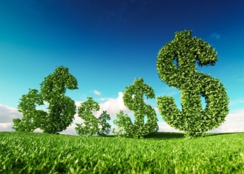 Regra que cruza desmatamento e crédito gera nova disputa no STF e acende alerta no agro