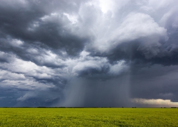 Clima derruba produtividade da soja e força revisão da safra