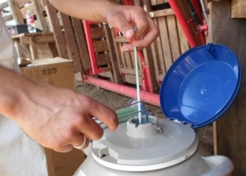 Vendas de sêmen bovino avançam e reforçam profissionalização do setor