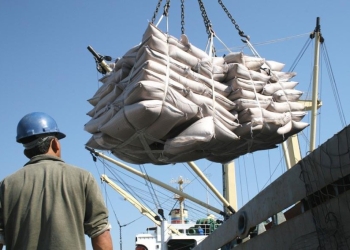 Agro brasileiro amplia exportações de carnes, frutas e insumos