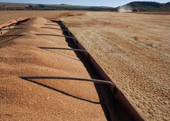 Agro ampliou peso na economia e manteve crescimento em 2025