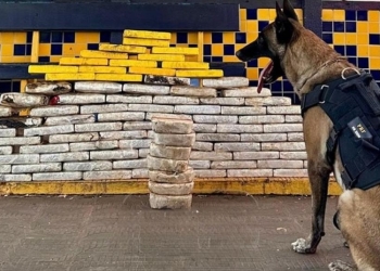 PRF apreende mais de 136 kg de cocaína em ofensiva contra o tráfico nas rodovias de MT