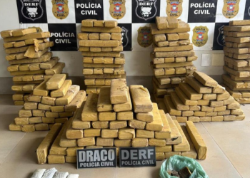 Polícia apreende 305 tabletes de maconha enterrados em quintal e prende gerente de facção em MT