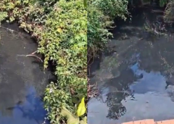Prefeito decreta emergência após vazamento de esgoto atingir córrego em MT: veja vídeo