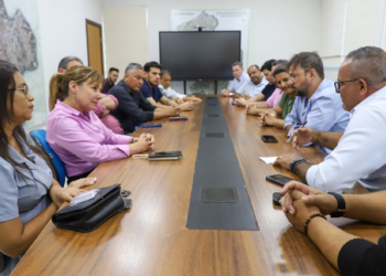 Flávia Moretti contesta apoio de Wanderley e reafirma Lucas Chapéu do Sol para Mesa Diretora