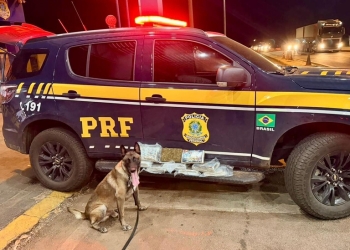 Passageira é presa transportando 10 quilos de skunk escondidos em bagagem