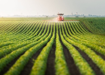 Projeto propõe mudanças em programa que movimentou R$ 830 milhões no agro