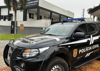Polícia Civil indicia suspeito de matar gato a pauladas em Rondonópolis