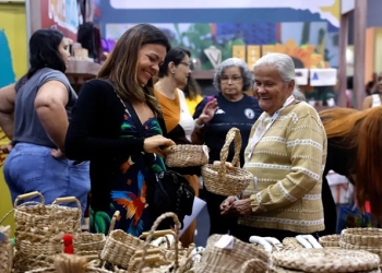 Brasil já tem 4,5 milhões de empreendedores da Economia Prateada