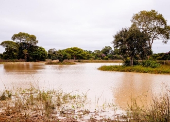 Período de defeso da Piracema será entre 1º de outubro de 2026 e 31 de janeiro de 2027 em MT