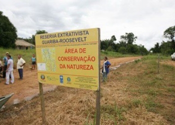 MPF e MPMT recorrem para garantir proteção da Reserva Guariba-Roosevelt em Mato Grosso