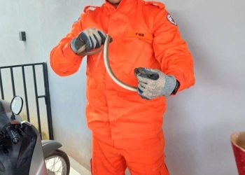 Corpo de Bombeiros resgata cobra cipó em residência de Guarantã do Norte