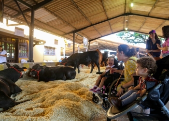 Expo Londrina começa sexta com foco em tecnologia plicada à produção