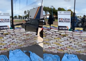 Motorista é preso transportando carga de 200 quilos de maconha