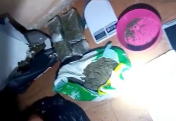 Homem solta pitbull contra policiais, mas acaba preso com drogas em Cuiabá