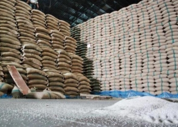 Exportações de arroz disparam no início de 2026, mas preços limitam ganhos