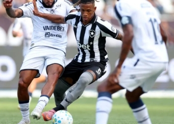 Botafogo sofre virada no Nilton Santos e perde para o Remo