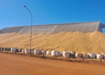Déficit de armazenagem supera um terço da safra: 120 milhões de toneladas