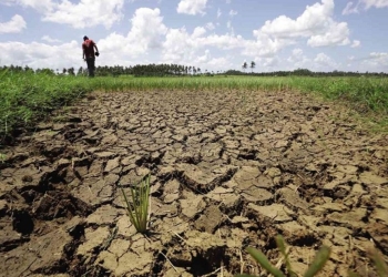 Injeção de R$ 2 milhões tenta resolver o maior gargalo da agricultura familiar