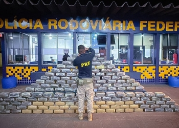 PRF apreende meia tonelada de skunk escondida em fundo falso de caminhão na BR-364