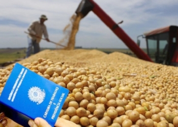 Agro dobra empregos em 20 anos e sustenta mais de 50% da economia