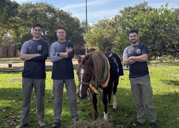 Equipe que resgatou cavalo Caramelo o reencontra após dois anos