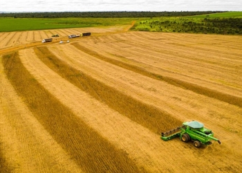 Com produção recorde de 51,6 milhões de toneladas, MT mantém liderança na soja há 26 safras