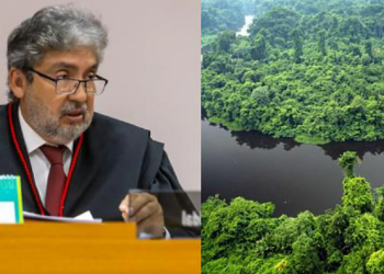 Voto contrário ao Estado e pedido de vista suspendem análise de área bilionária em MT