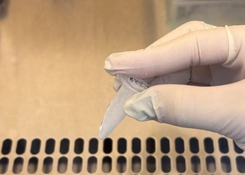 Lacen detecta circulação de variante da Influenza A em MT; vacina contra a gripe está disponível nos postos de saúde