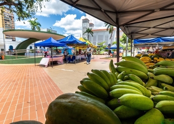 Feira na Praça Alencastro da agricultura familiar valoriza venda direta do produtor