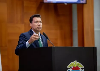 Deputado propõe construção de passarelas na Avenida da FEB para reforçar segurança de pedestres