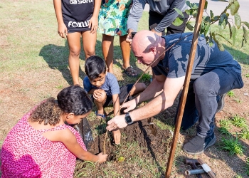 Mil árvores são plantadas em apenas uma semana em Cuiabá durante campanha de arborização